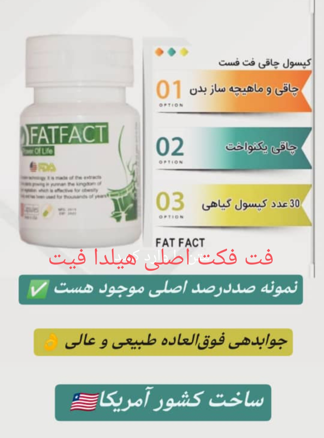کپسول چاق کننده بدن فکتیو